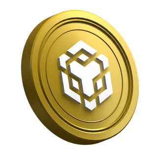 Panduan bagi trader pemula tentang cryptocurrency BNB